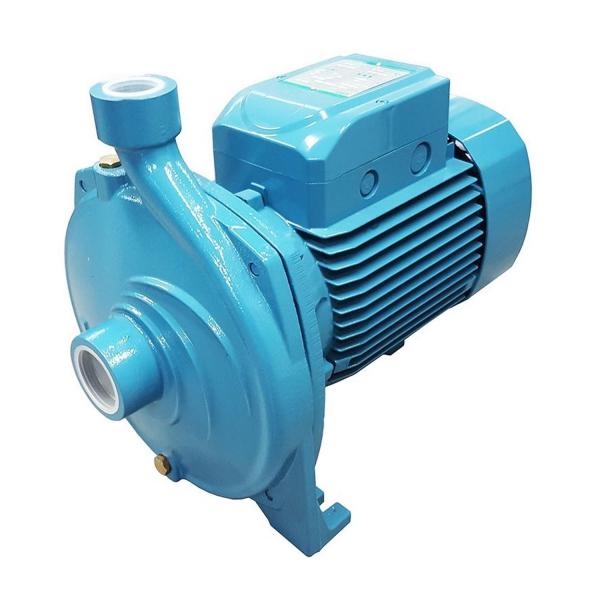 Центробежна едностъпална помпа City Pumps ICn 300BM/200, 44CM27CA1I - 3-15 m3/h, 48-22 m, 1 1/2 inch - 1 inch, 7 m